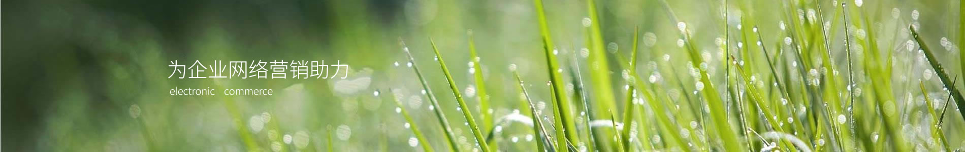 кعƼ޹˾